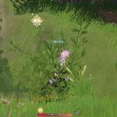 원신개발 티스토리