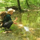 숲속의궁전 이미지