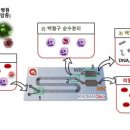 네이처 바이오(Nature Bio) 아시아경제