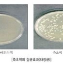 죽초액 이미지