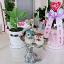 (주)굿즈영 네이버블로그