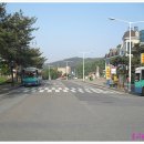 역앞 버스정류장(상행) 이미지