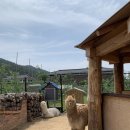 솔샘농장 이미지