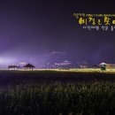 0902-토요출사-1박2일))태기산별궤적+메밀꽃야경+풍등날리기+대관령하늘공원 이미지