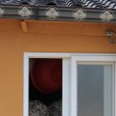 종운이네집 이미지