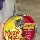 페이버릿츠