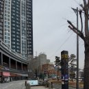 대티터널입구 이미지