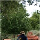 자이언(ZION) 이미지