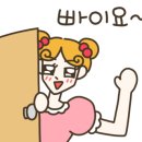 스팀세차하는날