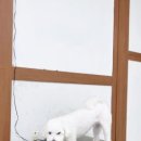 멍머니 2호점 이미지