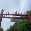죽녹원 | 담양 [죽녹원] 방문 후기