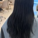 머리모냥2