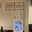 영카츠(YOUNG KATSU) 로고