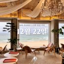 동해시-22 | 동해 바다 추암해수욕장 촛대바위 오션뷰 감성 카페 12월22일 강원도 여행 코스