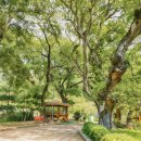 잠포학교 이미지