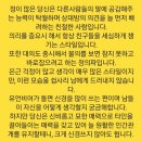 심리테스트 아니 성격테스트 정확도99.9% 이미지