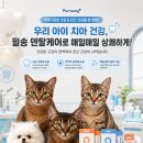 루나호야 | 🐾 반려고양이들과 함께한 펄송 포포우 종합영양제&덴탈케어 구강영양제 후기 🧡💙