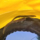 굿(캠핑)펜션 이미지