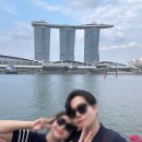 하루의 찬 | 싱가폴 레이오버 경유지에서 하루동안 꽉 찬 여행후기