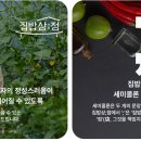 강화산지특산물