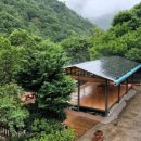 청산식당 이미지