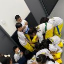 로운 태권도장 이미지