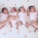 복닥복닥 이미지