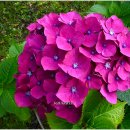 유달산 조각공원 이미지