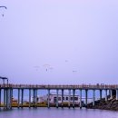 문화유산여행길(1코스) 이미지