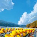 산정호수마을회 이미지