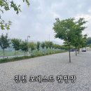 진천 포레스트 캠핑장 | 진천 포레스트 캠핑장 수영장 에어바운스 키즈캠핑장으로 추천