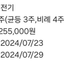 피엔에스미캐닉스 비례청약후기 산일전기 배정후기