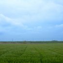 종금주유소 이미지