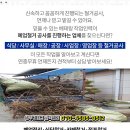 팔야식당 이미지