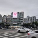 루니아의원 이미지