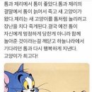 톰과제리