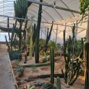 정렬농장 이미지