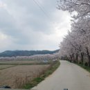 갈산리 마을회관 이미지