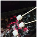 비치힐 이미지