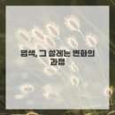 염색이야기 이미지