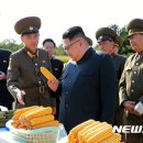 현지농장 이미지