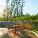 까미노데플로레스타2 이미지