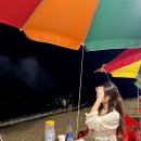 바다이야기 | 묵포여행 | 비 오던 날 어달해변포차 ‘바다이야기’ 평일 웨이팅 내돈내산 솔직후기