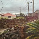 제주독채펜션돌집감성숙소돌담점 이미지