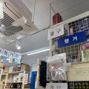 다팜생활용품점 | 서구생활용품 없는 게 없는 온생활생활용품 1층 2층 규모 쇼핑 후기