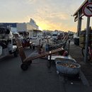 오정농수산물도매시장관리사업소 | 대전시오정농수산물도매시장관리사업소 주변의 물품 운반기구 관리실태 현장 12월 31일 찾다.