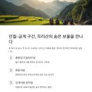 수성대민박 네이버블로그