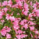 햇귀풍경 이미지