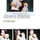 우리애견 - 광주시 경안로41번길 5 | 대구 동성로 셀프사진관 [오늘우리 동성로점] 빈티지무드룸 애견동반 촬영 후기🐾📸