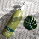 유기농 샴푸 추천 : 로마 너리싱 샴푸 / LOMA Nourishing Shampoo